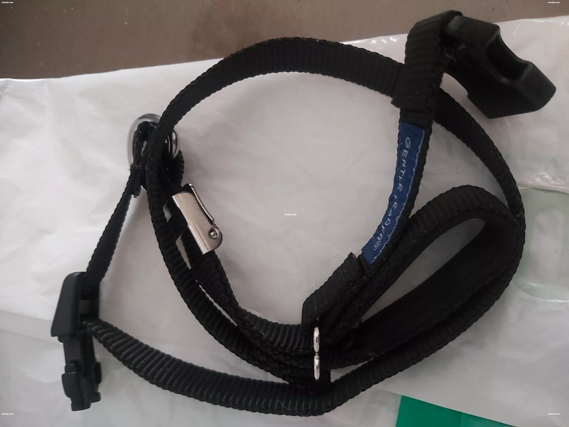 Collier de dressage