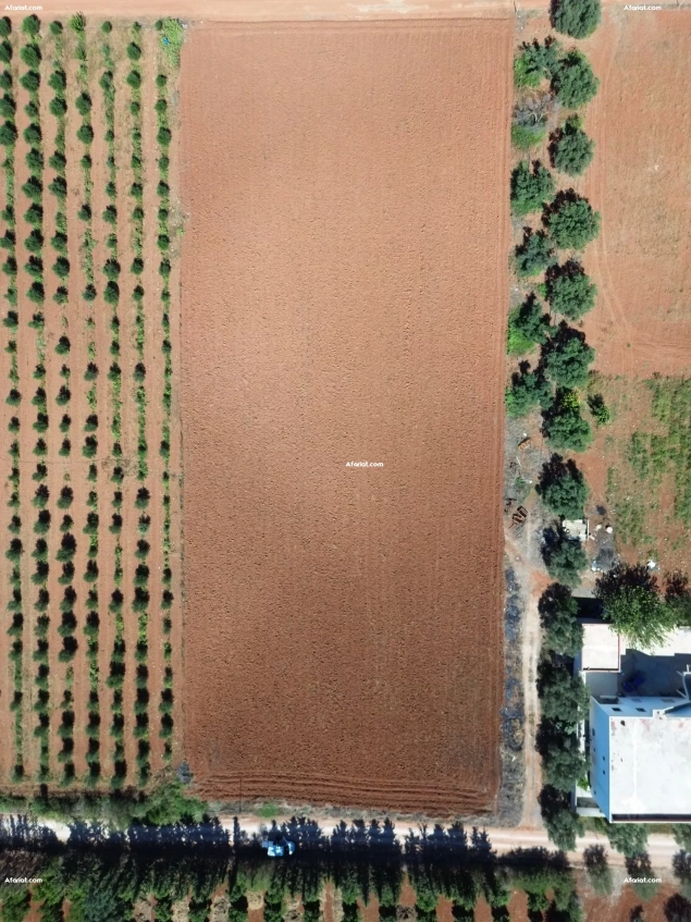 أرض زراعية رائعة بشهادة ملكية - فرصة نادرة في سيدي ثابت!